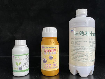 復合微生物菌劑的研發(fā)與應用 推動生物有機肥料發(fā)展新篇章