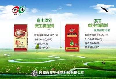 2020年全國(guó)微生物肥料研討會(huì)暨內(nèi)蒙古紫牛生物科技微生物肥料客戶會(huì) 復(fù)合微生物肥料研發(fā)新動(dòng)向